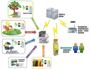 物聯(lián)網(wǎng)技術(shù)賦能產(chǎn)業(yè)升級 防偽、食品安全與新材料研發(fā)的革新應(yīng)用